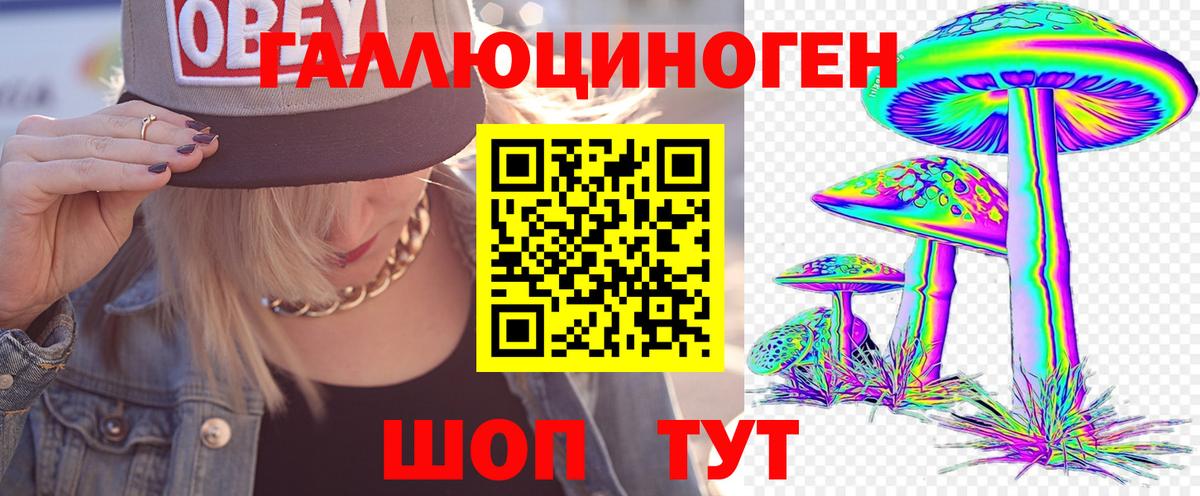 Псилоцибиновые грибы прущие грибы Дзержинский