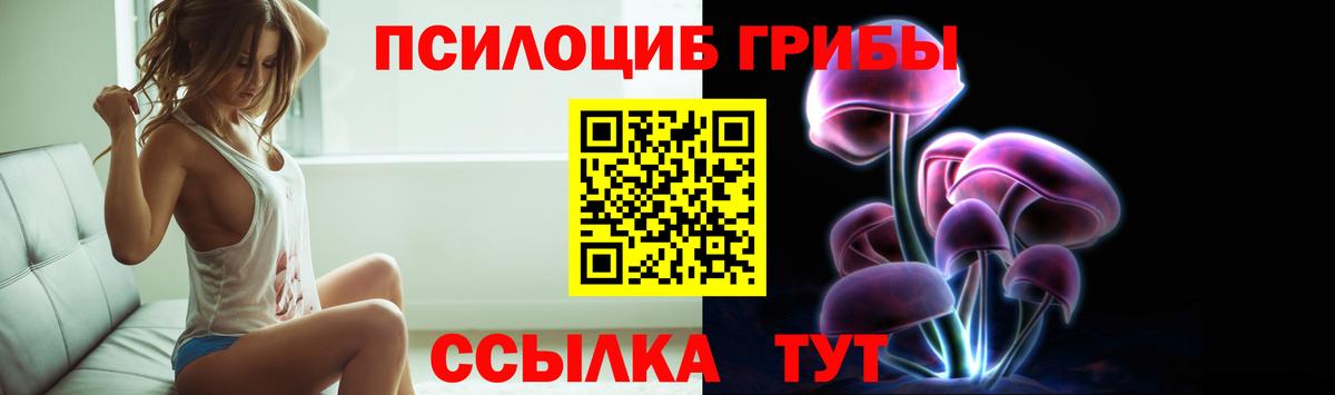 Дзержинский  Псилоцибиновые грибы Psilocybine cubensis  Вход с VPN 